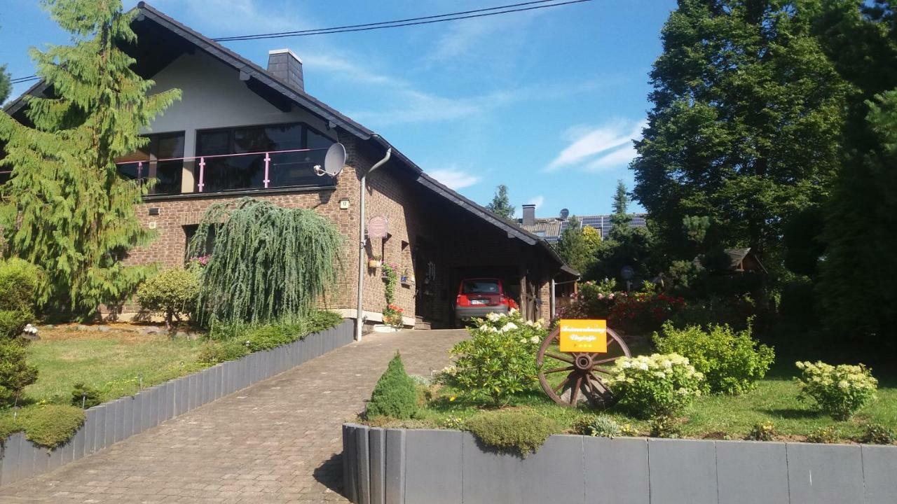 Ferienwohnung Virginija Ditscheid Esterno foto
